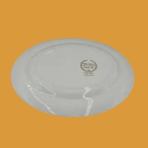 MCM VTG Homer Laughlin Lifetime China Turquoise Magnolia Pattern Oval Platter - Picture 6 of 8